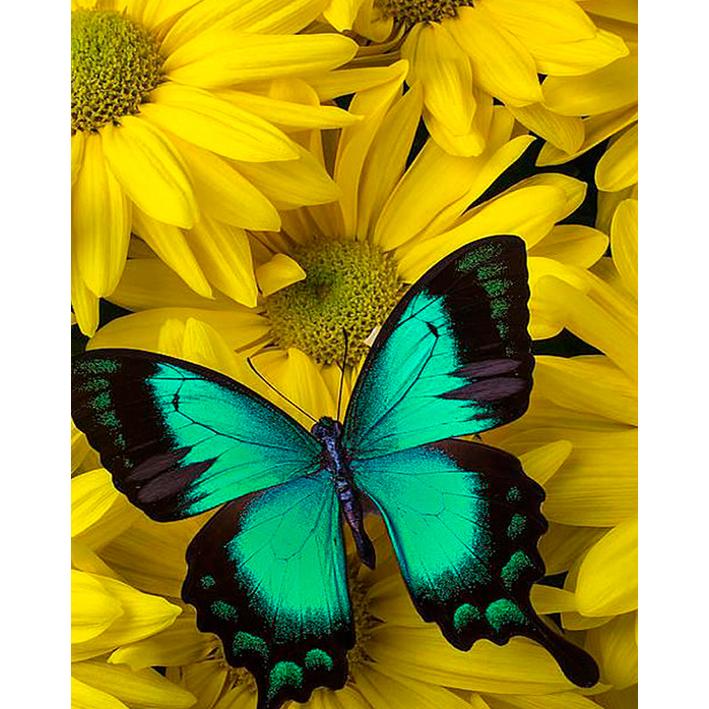 5D Алмазная картина Полный круглый дрель Вышивка крестом Алмазная вышивка Горный хрусталь Мозаика Подарок Домашний Декор Подарок