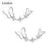 Lindon Copper Alloy Zircon Earrings Drop Earrings For Women Wedding Party Gifts