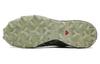 Men's Sneakers Salomon Speedcross 6 Gore-Tex Grisaille Carbon Tea Grisaille/Carbon/Tea