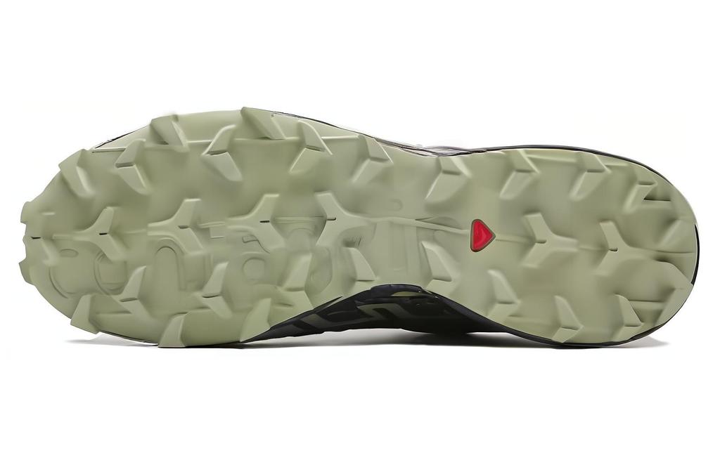 Men's Sneakers Salomon Speedcross 6 Gore-Tex Grisaille Carbon Tea Grisaille/Carbon/Tea