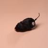 1Pcs Funny Lifelike Plush Mouse Running Rat Toy for Cats Dogs Pets Kids Random Color