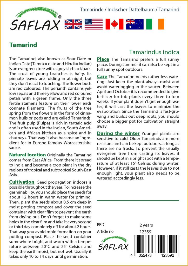 SAFLAX Подарочный набор - Тамаринд - 4 семени - С подарочной коробкой, карточкой, этикеткой и субстратом для горшков - Tamarindus indica