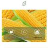 Mr. Corn 1000ml Biodegradable Round Meal Box