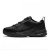 Air Monarch Iv 415445 001
