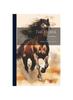 The The Horse : His Breeding, Care And Use Book