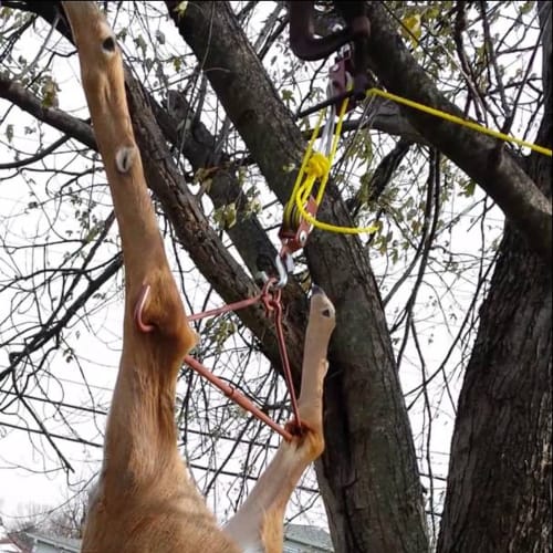 Tourbon Big Game Hoist for Hunting, Hanging and Butchering Game, Pulley & Hanger, Gambrel Deer Tool