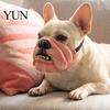 Halloween Pet Supplies Funny Dog Masque, PU Foam Scary Face Costume, Realistic Mouth Masque for with Elastic Band Dress Up, Holiday Party, Photo Props