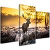 Three Piece Picture Canvas Print Deer Forest Sunset
