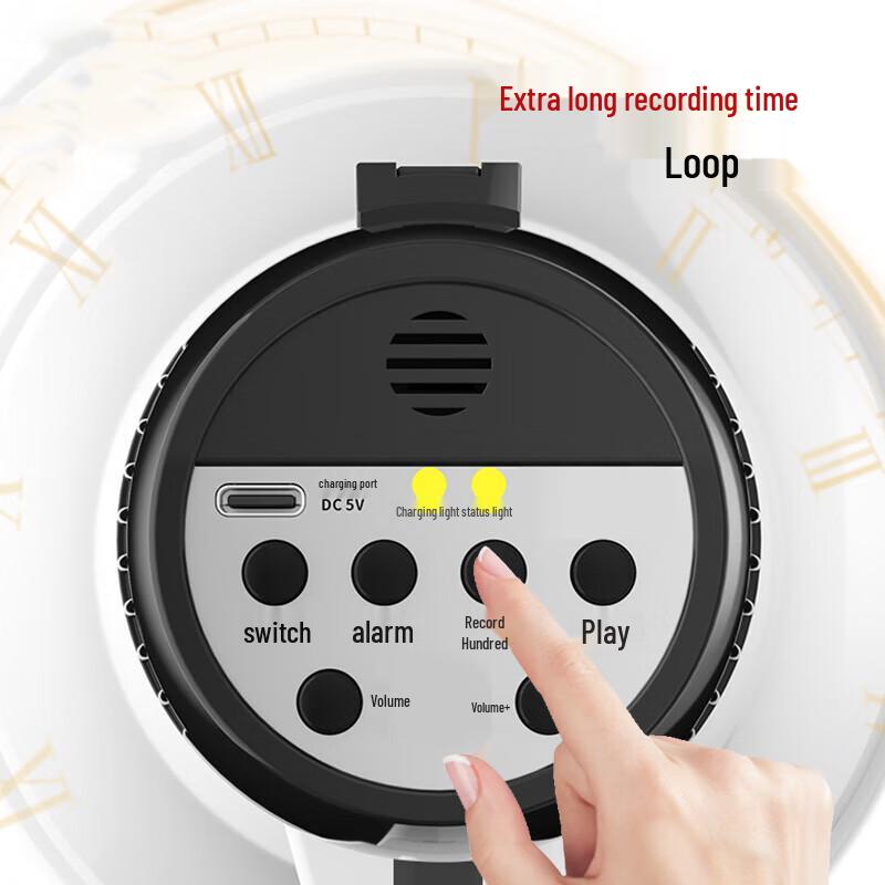 Baipu A50 Pro Portable Voice Amplifier CN plug (adapter included) (CN version)