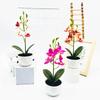 Имитация Фаленопсиса в горшке Искусственный Искусственный Цветок Настольное Украшение