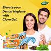 Herbal Clove and Mint Gel Toothpaste + FREE toothbrush 150 gm Dabur Herb'l Advanced toothpaste