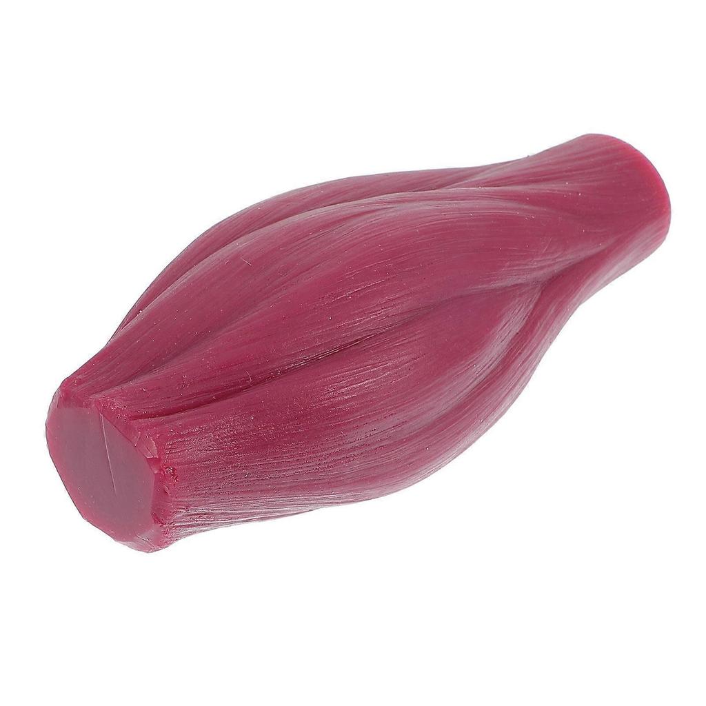 1 Pc Human Body Muscle Replica Model 1 lb Muscle Model for Fitness Enthusiast No Base