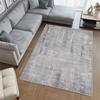 Washable Printed Carpet LNA0549