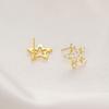 Banyan Tree S925 Silver Hollow Diamond Star Earrings - Korean Style Five-pointed Star Design for Women