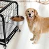 Hanging Pet Bowl Anti-gnawing Pet Feeder New Cage Food Dispenser  Parrot Bird