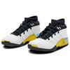Air Jordan 17 Retro Low SP All Star - Lightning 2024 Мужские кроссовки Белый Черный Хром FJ0395-100