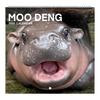 Moo Deng Calendar 2026 Pygmy Hippo Wall Calendar Monthly Planner Hanging Hippopotamus Calendar Gift for Hippo Lovers