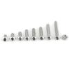 SS304 Steel Hex Socket M5 Screws Bolts and Nuts Fastener (Button Head)