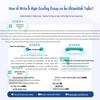 Spark EM8 Тренинг по написанию эссе: 100 отличных примеров для студентов-англичан
