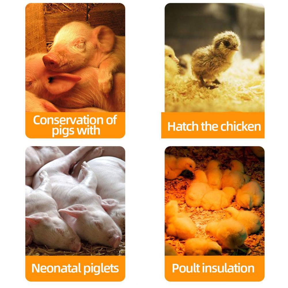 Hatch Chicken Reptile Habitat Lighting Heating Lamp Bulb Pet Brooder Lamp Breeding Bulb