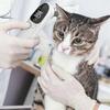 Pet Dog Cat Ear Thermometer Animal Thermometers for Cats Animal Measuring Non-Contact Electronic fo
