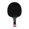 Ракетка для настольного тенниса Lion Premiere