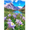 Полный 5D Diy Алмазная картина Долина цветок пейзаж Вышивка крестиком Домашний декор ручной работы