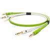 NEO by OYAIDE Elec D+ TRS Class B 3.0m Line Cable