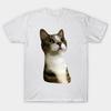 T Shirt Women Cat Lurch Harajuku Print Kawaii Tshirt Summer Short Sleeve Female T-Shirt Top Tee