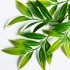 Прочное искусственное растение, реалистично выглядящее, экологически чистое, создает жизненную силу