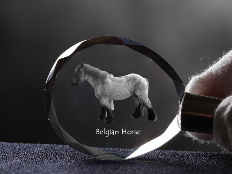 Belgian Horse - Pendant with a Picture of a Horse, Crystal Key Ring In a Gift Box, Unique Gift by Art-Dog Brand