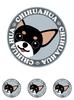 Stare Chihuahua Smooth Black & Tan Dog Sticker Gray Back Round L + SS Size [Set of 4] MK-2
