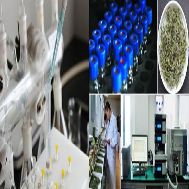 100g Yunnan Puerh Tea Xinhui Citrus Puer Tea Small Green Citrus Pu Er Cooked Tea