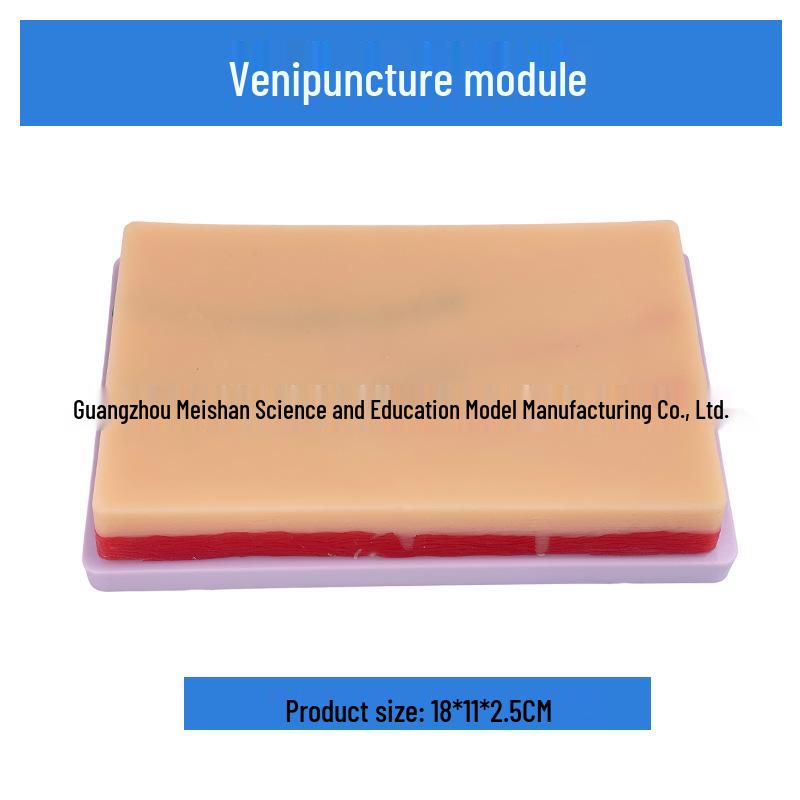 Multifunctional Venipuncture and Injection Training Arm