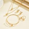 New European and American style jewelry niche light luxury metal pendant design necklace versatile high-end earring set