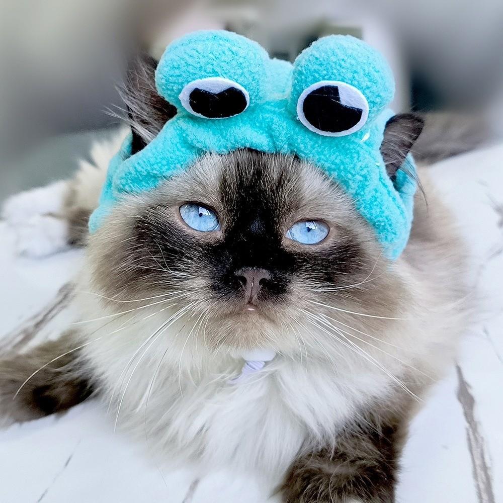 Soft Pet Hat Cute Dog Hat Pet Decorative Hat Cat Hat  Photo Taking