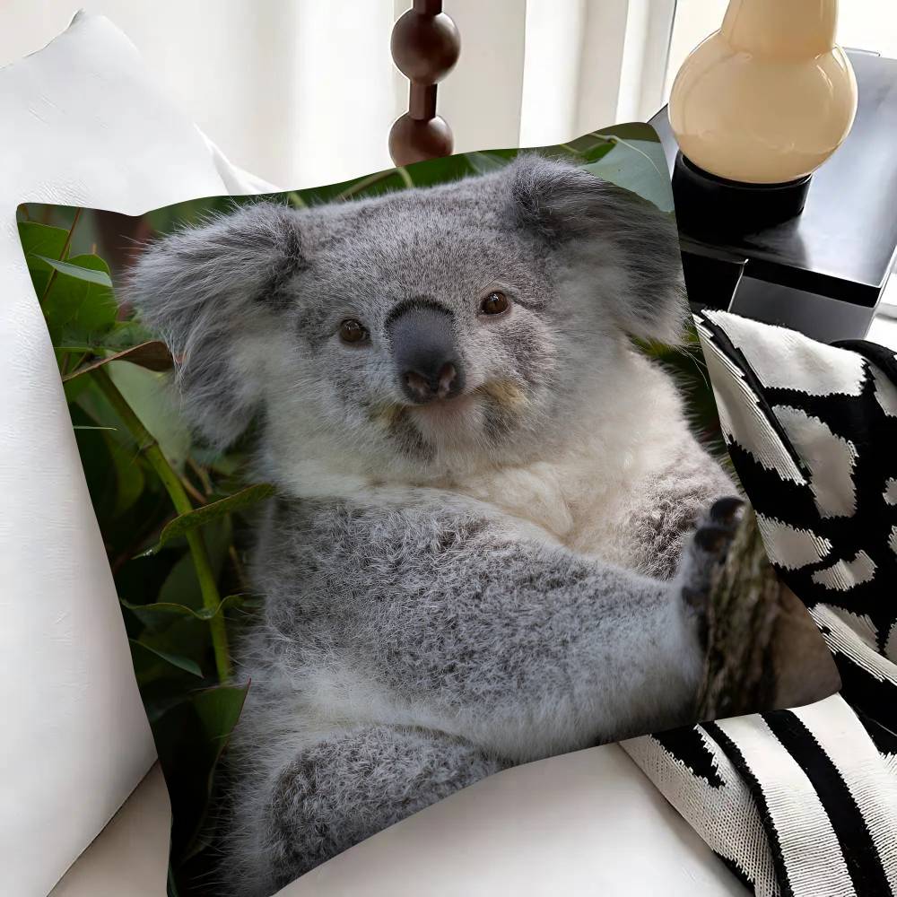 Cute Koala Pillow Case Fashion Square Pillowcase Bedroom Sofa Room Ins Decoration Leisure