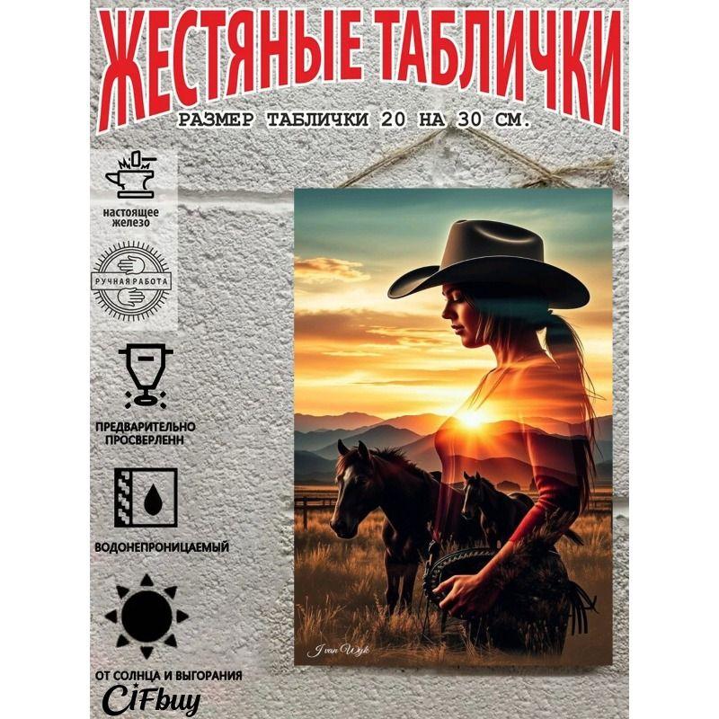 Металлическая жестяная табличка "Ковбой на лошади" 20x30 см Рустикальный декор стен