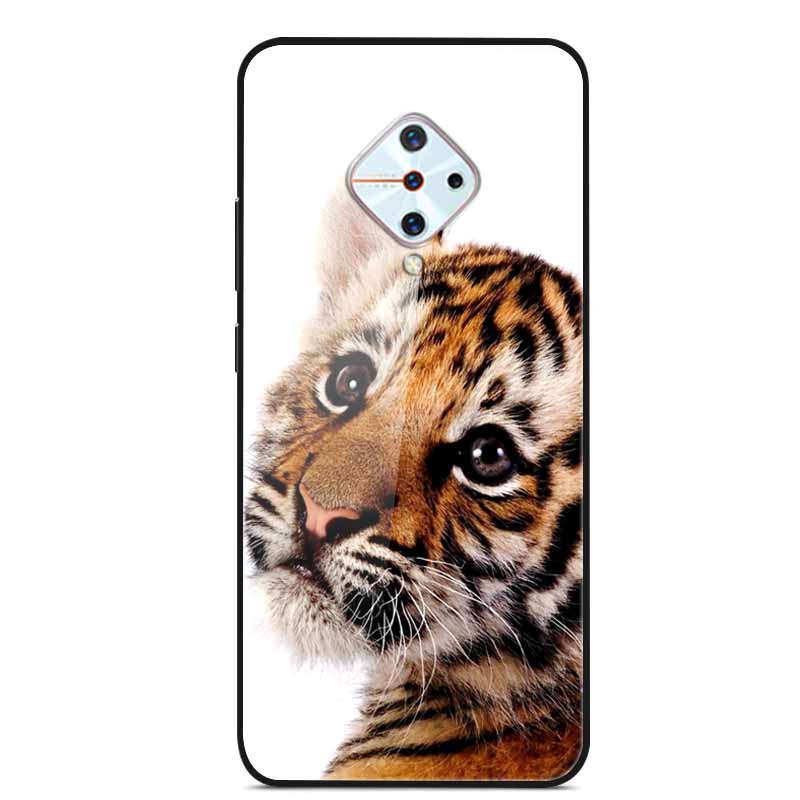 Tempered Glass Case For Vivo V17 Case Russia Glass Back Cover Soft Bumper For Vivo V17 Phone Cases V 17 Funda Y9s S1 Pro Coque
