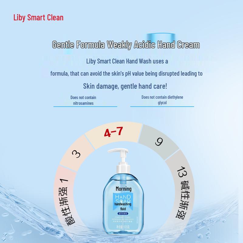 Набор для мытья рук Liby & Safeguard