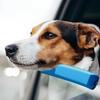 Soft Car Window Chin Rest for Dogs Comfortable Pet Chin Rest Dog Car Chin Rest  Protect Pet's Chin