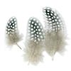 Natural Assorted Feathers 10 Cm 50 Pieces