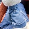 В наличии Стильная Джинсовая Жилетка-Куртка Коллекция для Собак и Кошек