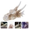 Aquariums Decorations Dinosaur Skull Fishtanks Landscape Cave Hideaway House For Aquatic Fish Shrimp Safe Landscaping