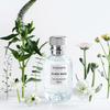 Waiting for Li Fei No Man's Land Rose Perfume 60ml Женская свежая парфюмированная вода High and Lonely Rose Perfum