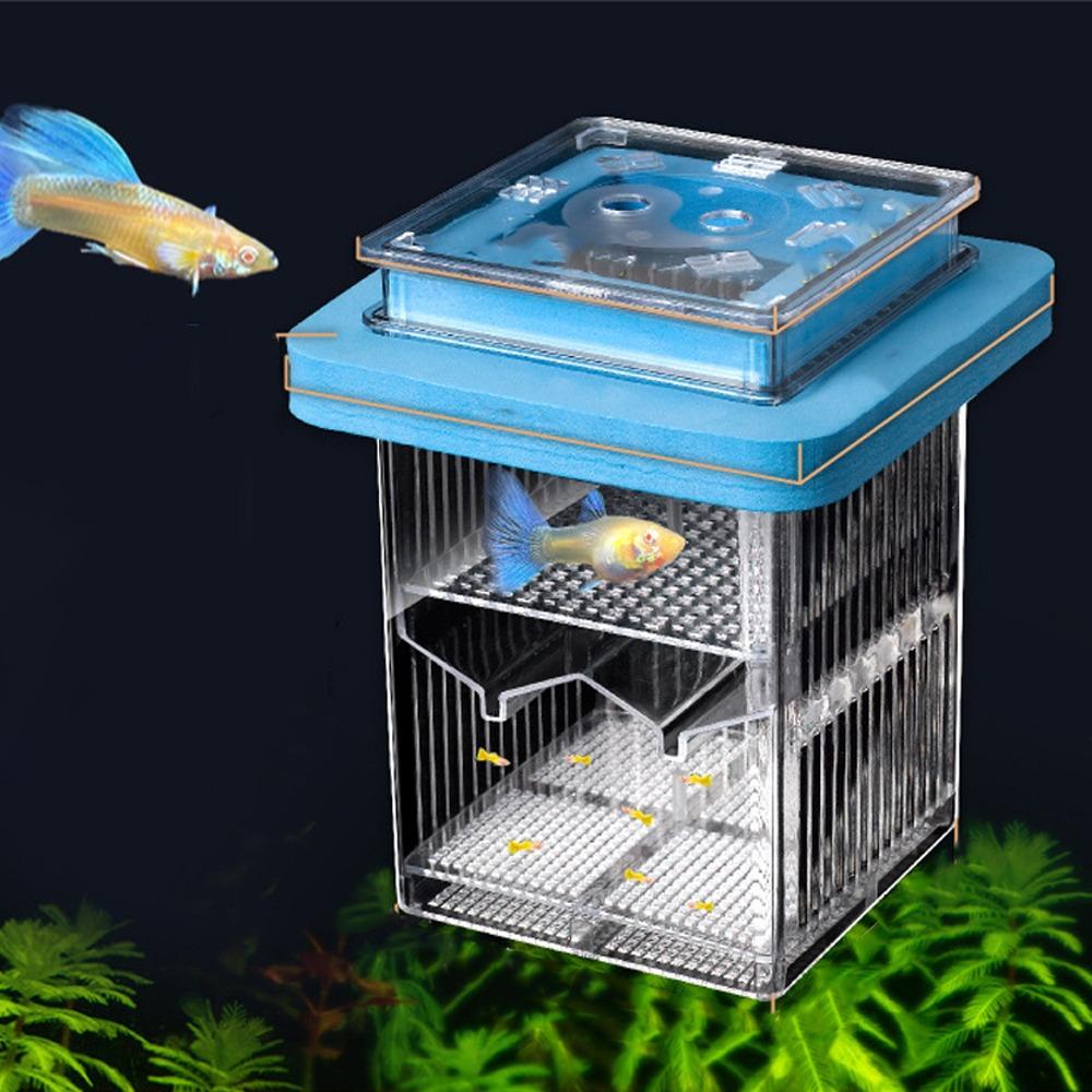 Permeable Floating Hatching Box Transparent Fish Tank Divider Mother Fish Incubator  For Small Fish