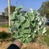 Керамический цветок ручной работы Реалистичный искусственный цветок с проволочным стеблем Для дома, офиса, гостиной, вазы, искусственное красочное украшение с цветами