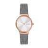 Watch FREJA SKW3017 Silver [Skagen] Women's