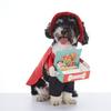 Funny Dog Halloween Costumes: Teddy Schnauzer Thor Transformation Outfit