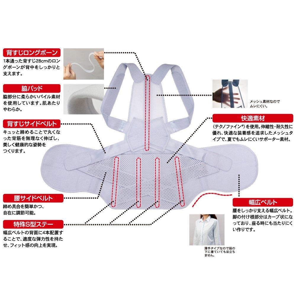 Alphax Posture Supporter, Posture Belt, Back Support, Made In Japan, Doctor's Recommended Posture Belt, LL-3L